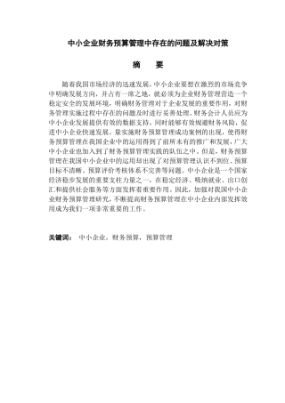 中小企业财务预算管理中存在的问题及解决对策分析研究 财务管理专业
