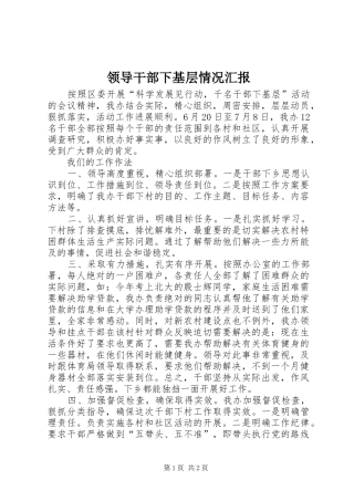 2024年领导干部下基层情况汇报