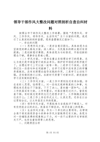 2024年领导干部作风大整改问题对照剖析自查自纠材料