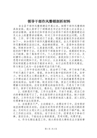 2024年领导干部作风整顿剖析材料