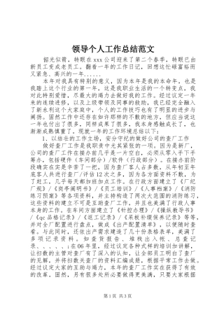 2024年领导个人工作总结范文