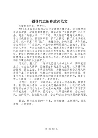 2024年领导同志新春致词范文