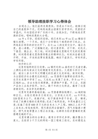 2024年领导助理挂职学习心得体会