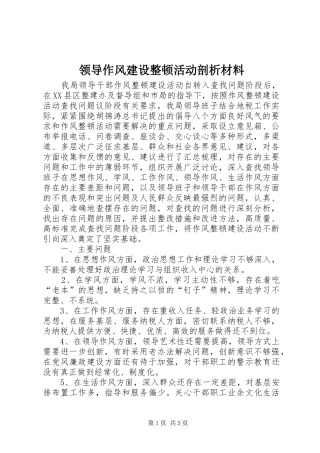 2024年领导作风建设整顿活动剖析材料