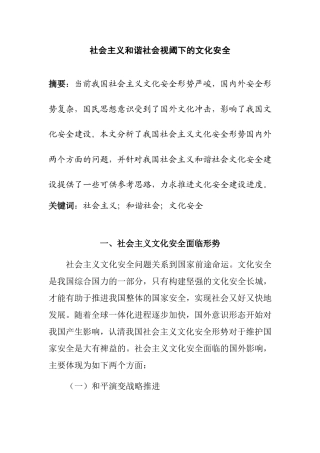 社会主义视角下的文化安全问题研究分析  社会学专业