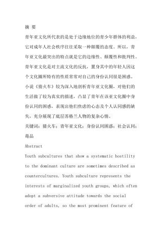 身份认同视角下《猜火车》中青年亚文化的分析研究  文学专业