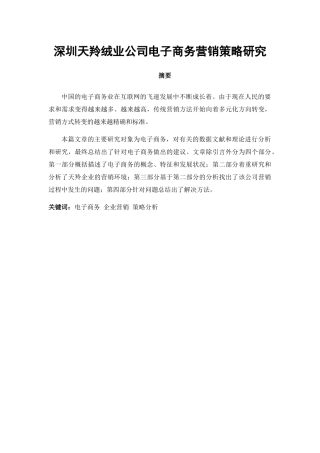 深圳天羚绒业公司电子商务营销策略研究分析  市场营销专业