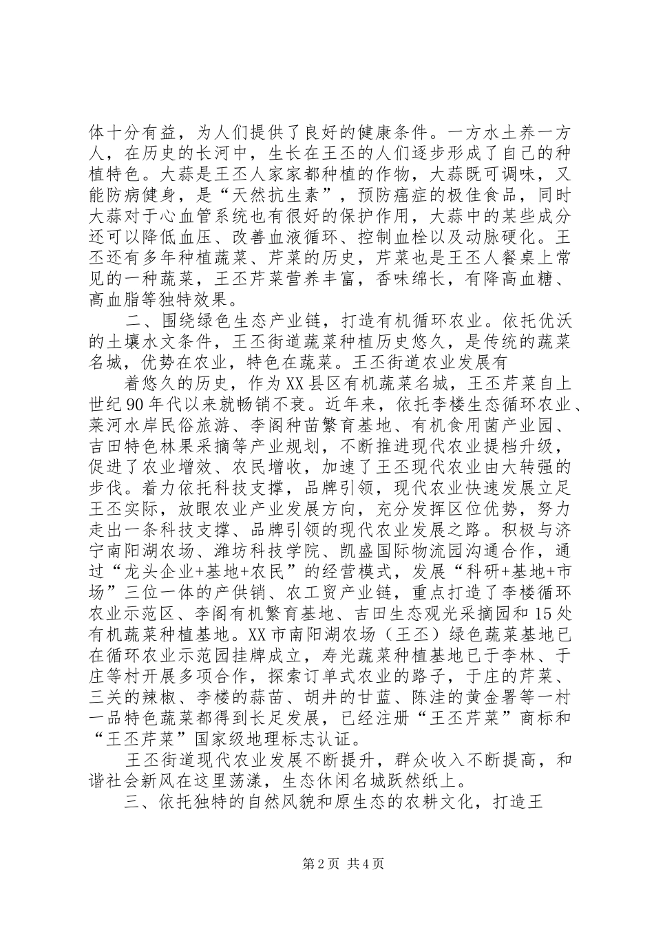 2024年生态小镇宜居宜业宜游名城王丕街道_第2页