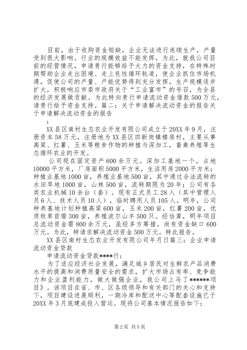 2024年流动资金申请报告_第2页