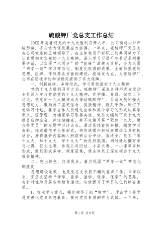 2024年硫酸钾厂党总支工作总结