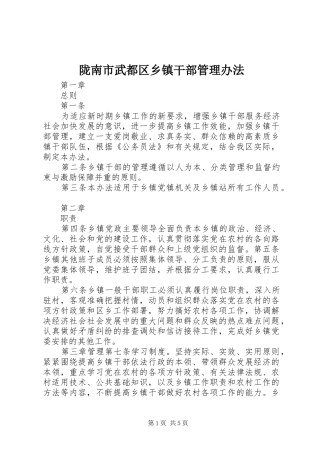 2024年陇南市武都区乡镇干部管理办法