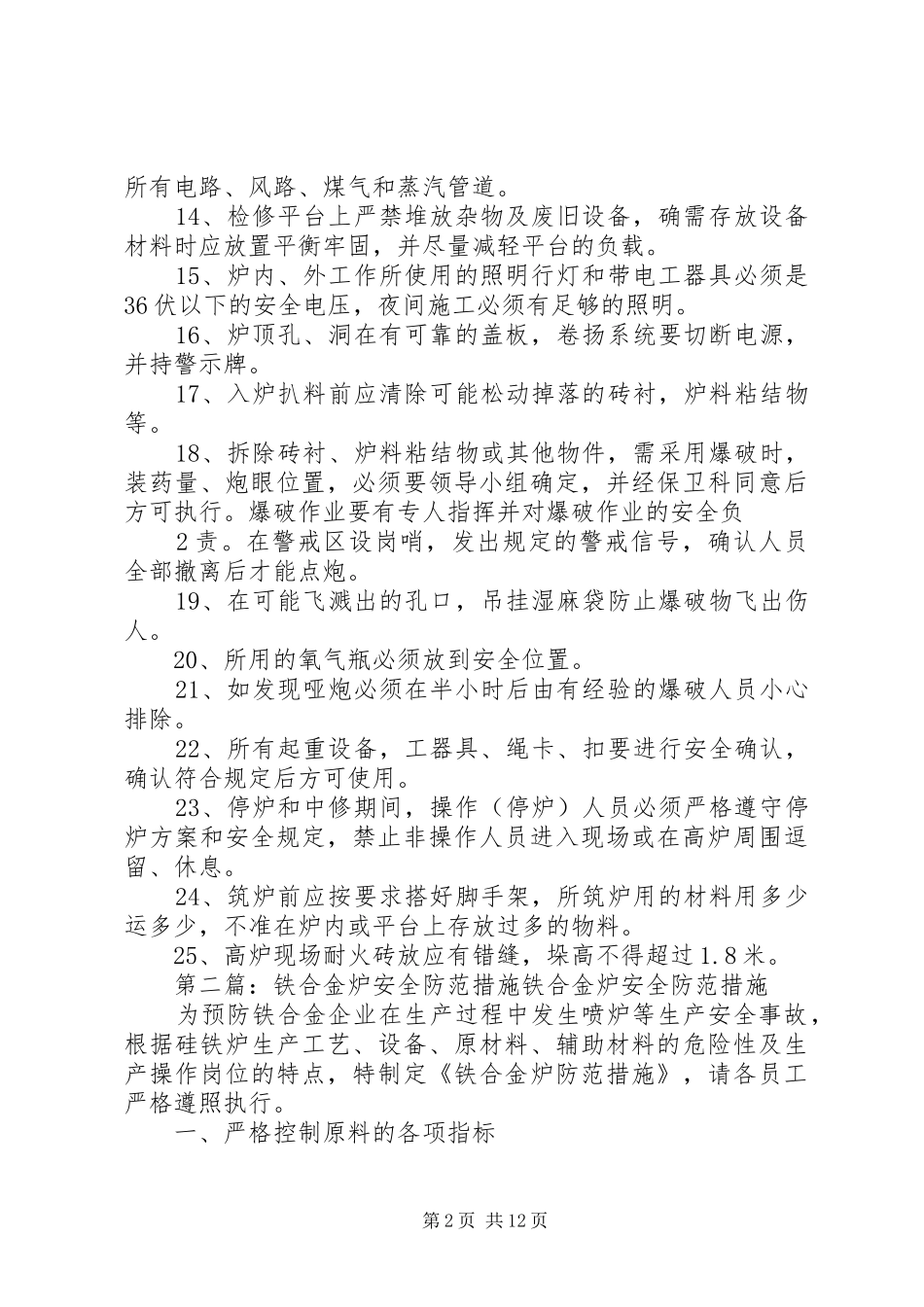 2024年炉中修安全措施_第2页
