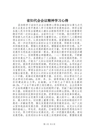 2024年省妇代会会议精神学习心得
