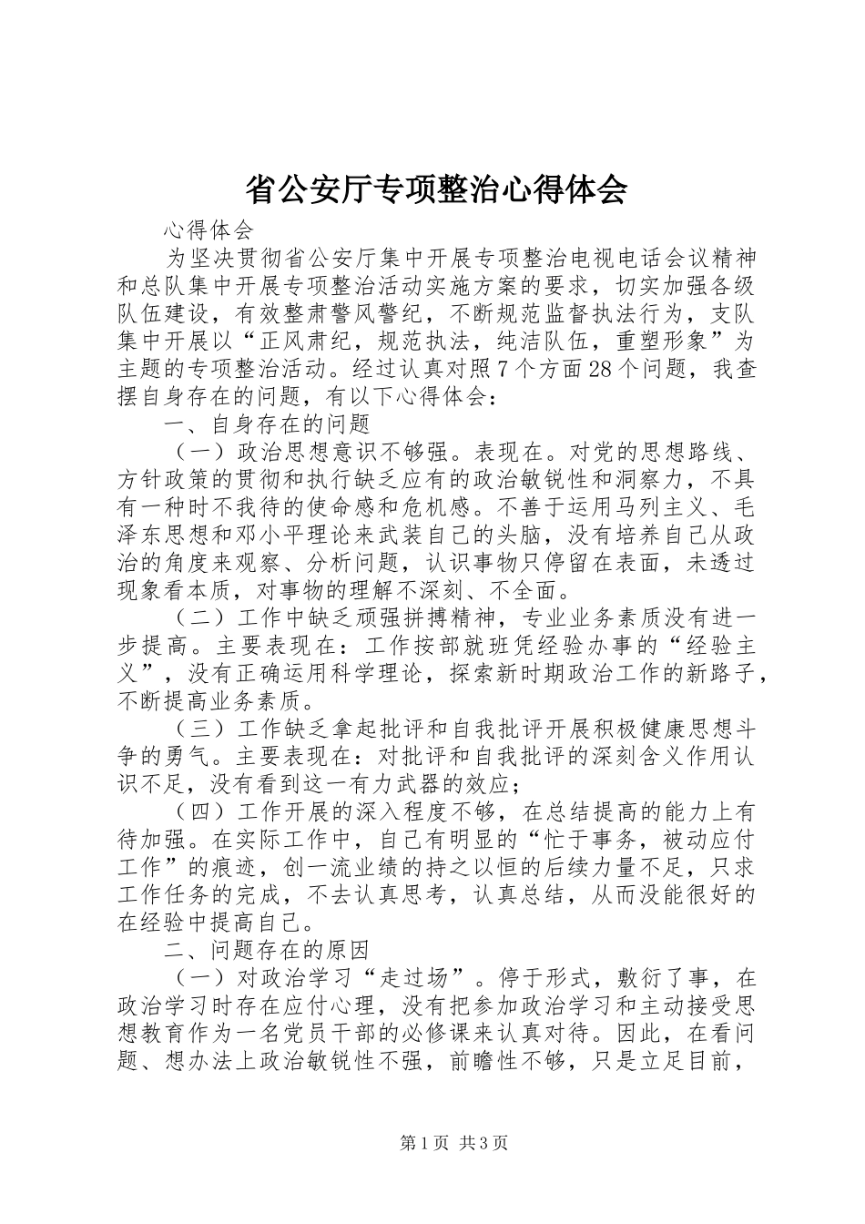 2024年省公安厅专项整治心得体会_第1页