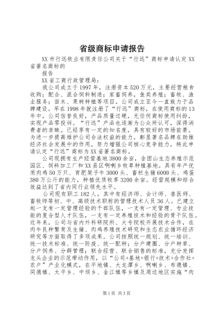 2024年省级商标申请报告