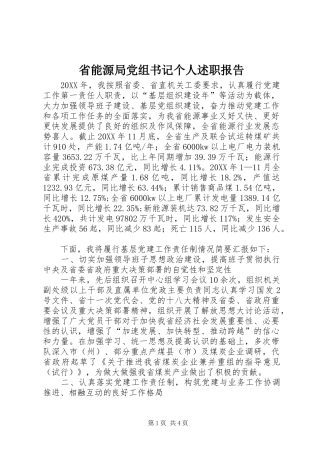 2024年省能源局党组书记个人述职报告