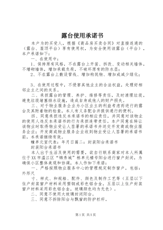 2024年露台使用承诺书