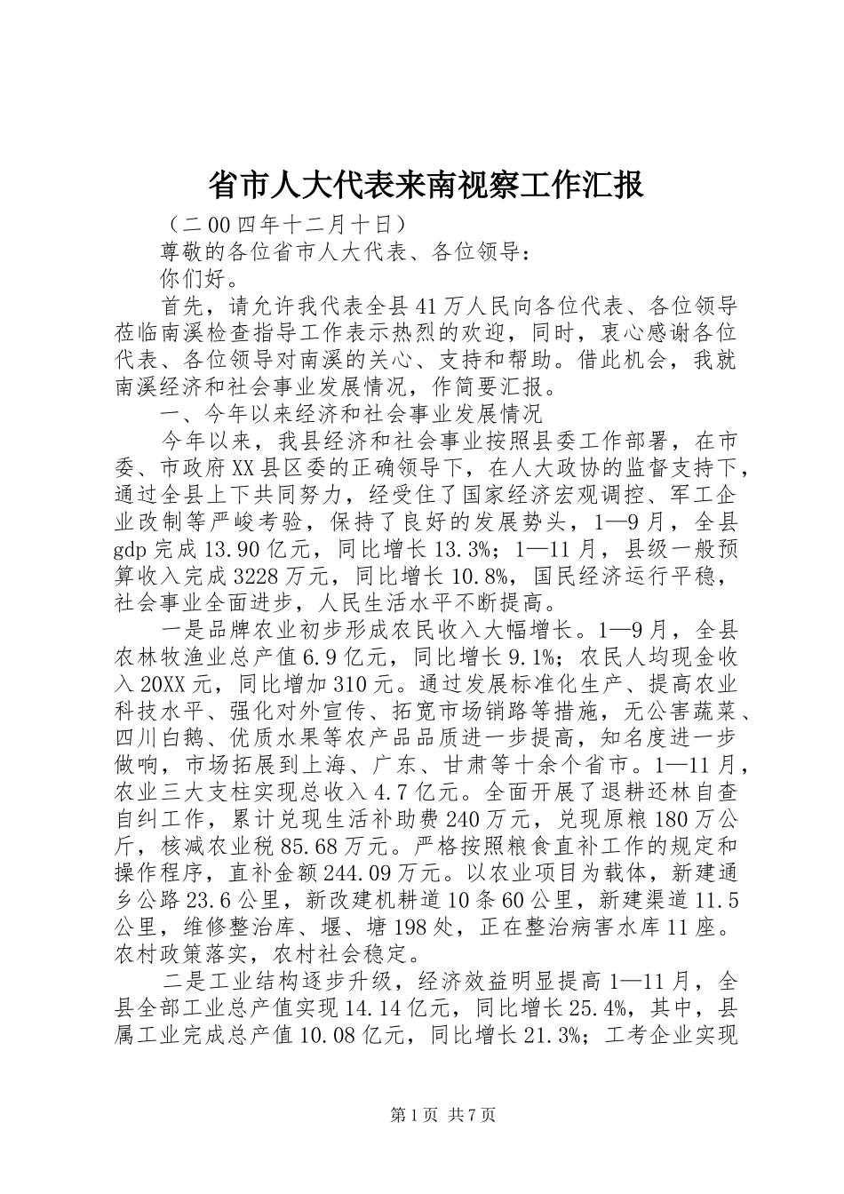 2024年省市人大代表来南视察工作汇报_第1页