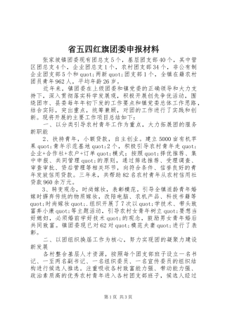 2024年省五四红旗团委申报材料