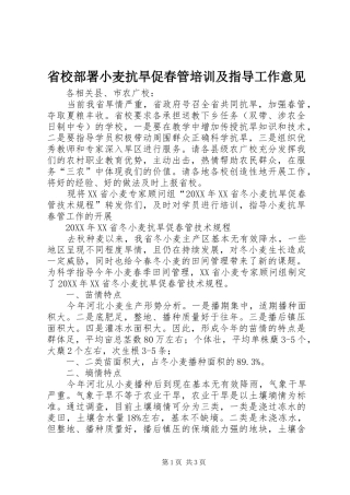 2024年省校部署小麦抗旱促春管培训及指导工作意见