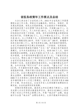 2024年省医务政策年工作要点及总结