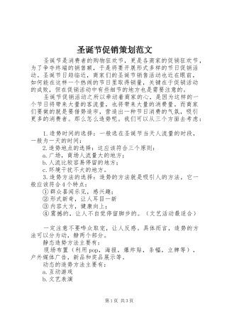 2024年圣诞节促销策划范文