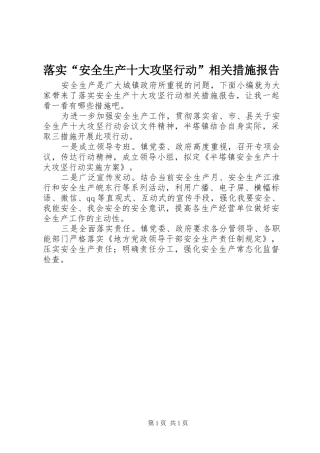 2024年落实安全生产十大攻坚行动相关措施报告