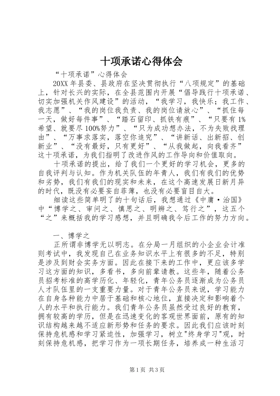 2024年十项承诺心得体会_第1页