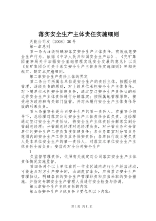2024年落实安全生产主体责任实施细则