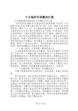 2024年十小场所专项整治汇报