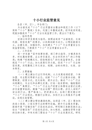 2024年十小行业监管意见