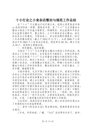 2024年十小行业之小食杂店整治与规范工作总结
