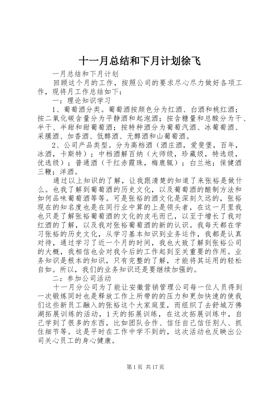 2024年十一月总结和下月计划徐飞_第1页