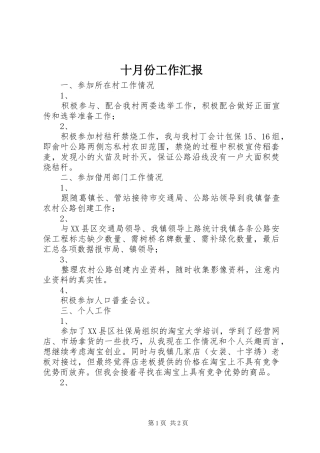 2024年十月份工作汇报