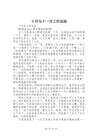 2024年十月与十一月工作总结