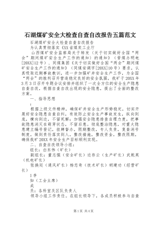 2024年石湖煤矿安全大检查自查自改报告五篇范文