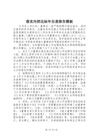 2024年落实内控达标年自查报告模板