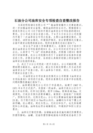 2024年石油分公司油库安全专项检查自查整改报告