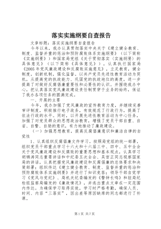 2024年落实实施纲要自查报告