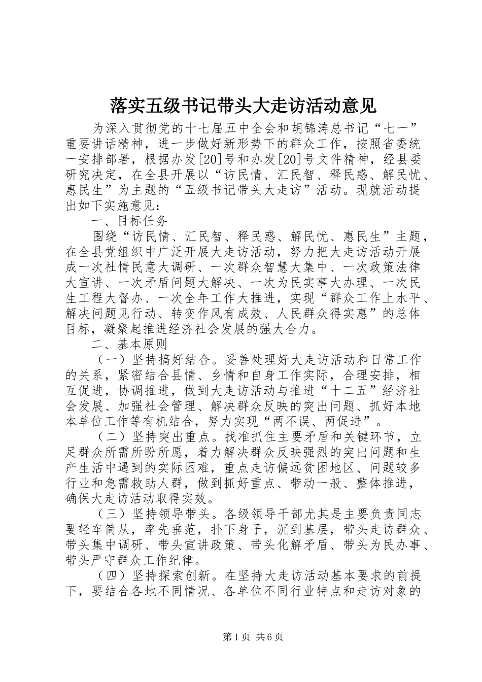 2024年落实五级书记带头大走访活动意见_第1页