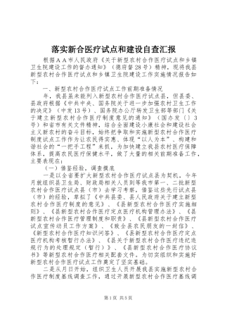 2024年落实新合医疗试点和建设自查汇报