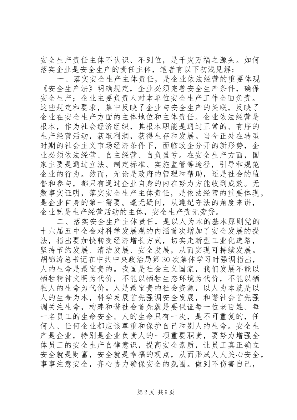 2024年落实主体责任安全生产_第2页