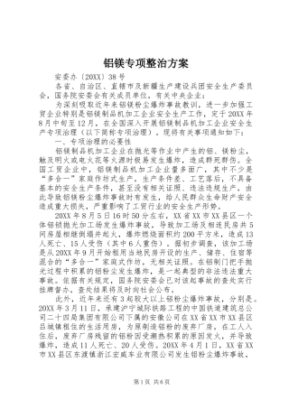 2024年铝镁专项整治方案