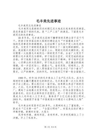 2024年毛丰美先进事迹