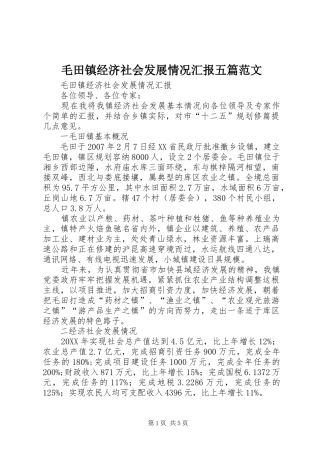 2024年毛田镇经济社会发展情况汇报五篇范文