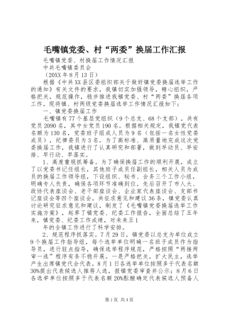 2024年毛嘴镇党委村两委换届工作汇报