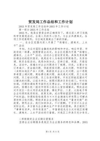 2024年贸发局工作总结和工作计划