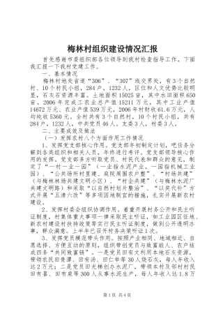 2024年梅林村组织建设情况汇报