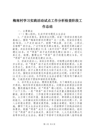 2024年梅南村学习实践活动试点工作分析检查阶段工作总结