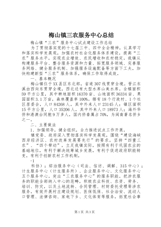 2024年梅山镇三农服务中心总结